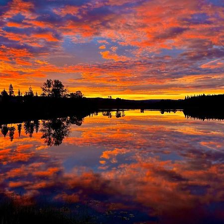 Burns Lake Bed And Breakfast Екстер'єр фото